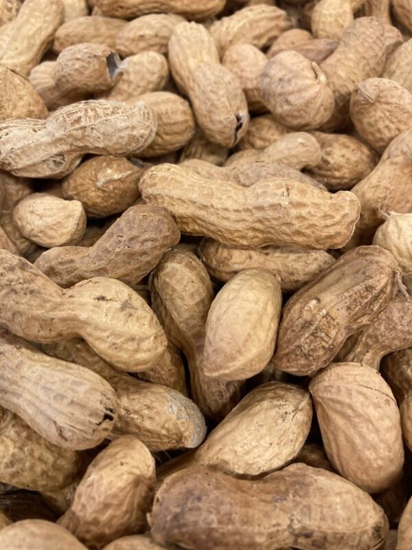 Arachides coques
