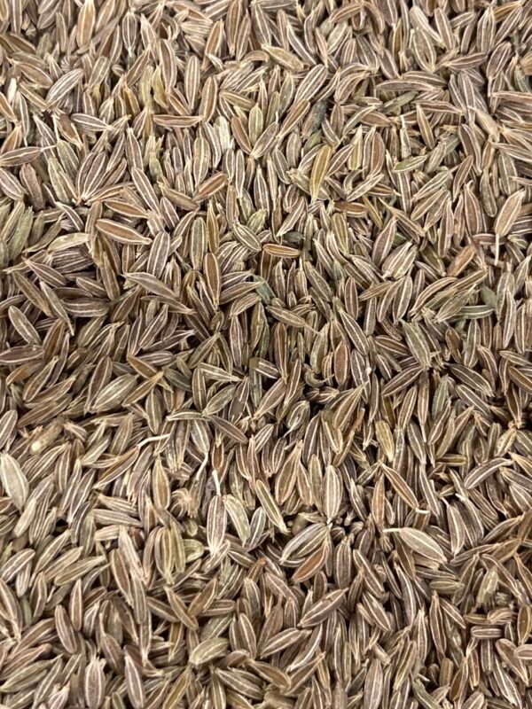 Cumin en graines