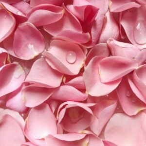 Eau de rose de Damas