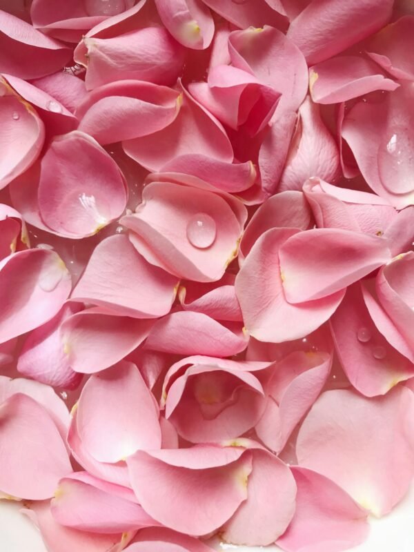 Eau de rose de Damas