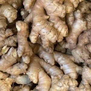 Gingembre frais