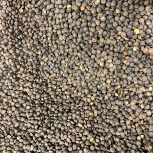 Lentilles vertes