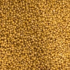 Millet