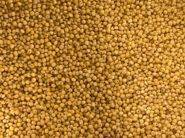Millet