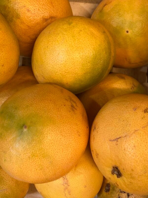 Pomelo