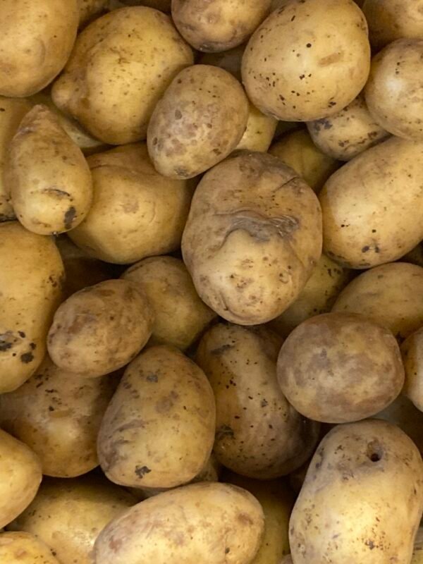 Pommes de terre