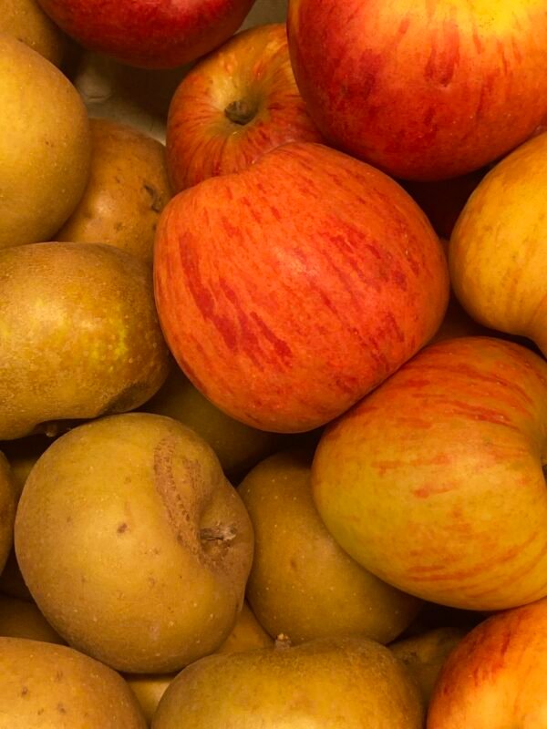 Pommes - Dalinette