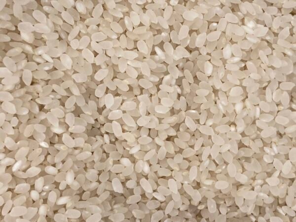 Riz rond blanc