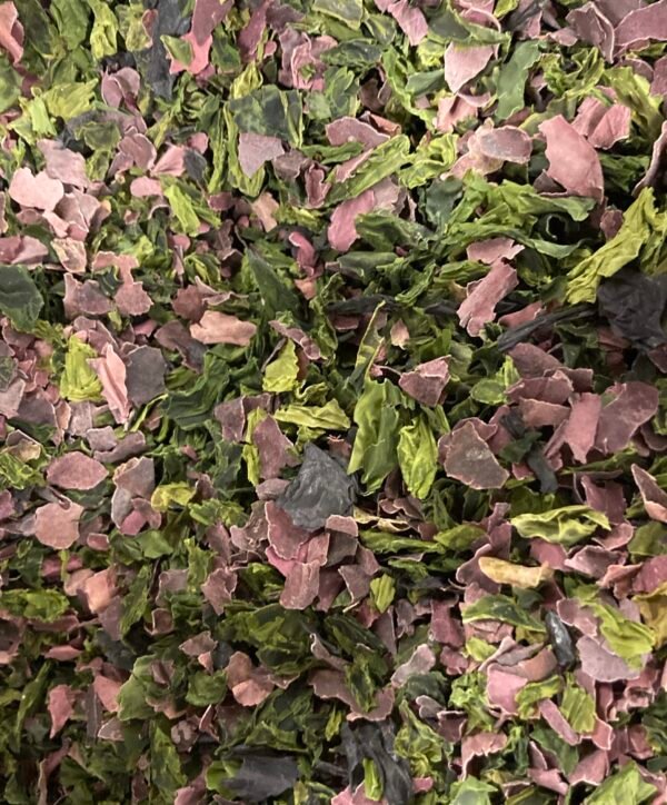 Salade marine