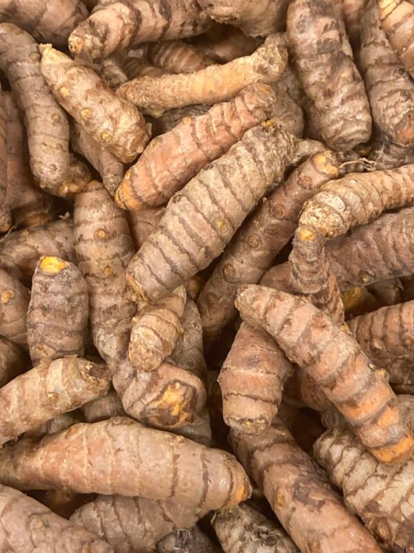Curcuma frais
