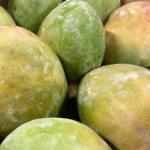 Mangue
