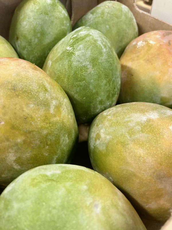 Mangue