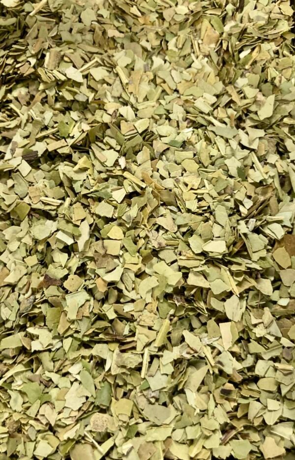 Maté vert