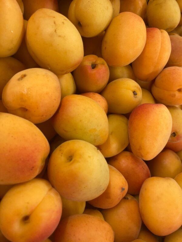 Abricots