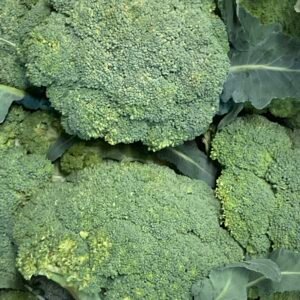 Brocoli