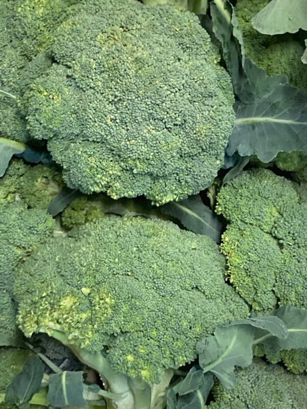 Brocoli