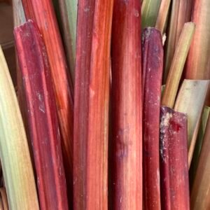 Rhubarbe