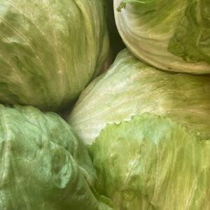 Salade - Iceberg