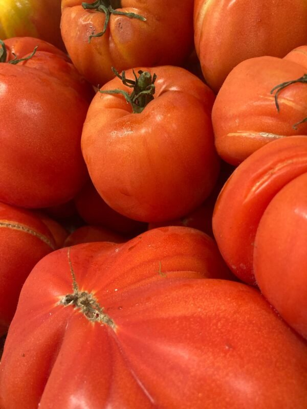 Tomates – Image 2