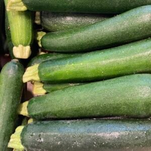 Courgettes vertes
