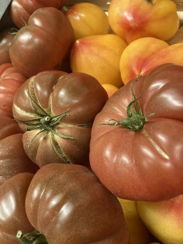 Tomates