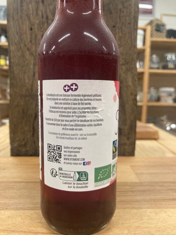 Kombucha – Image 3