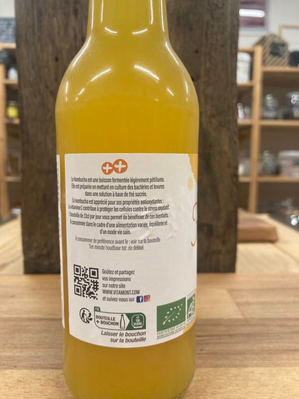 Kombucha – Image 4