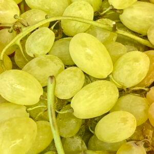 Raisin blanc