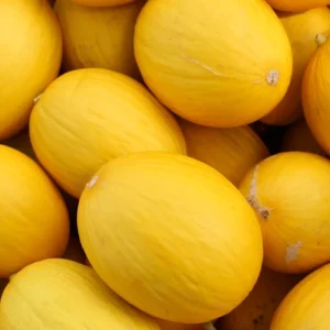 Melon Canari