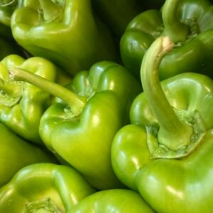 Poivrons verts