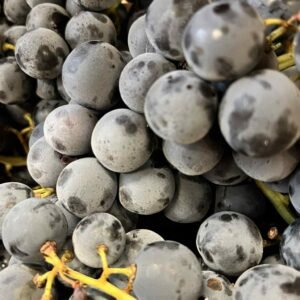 Raisin noir