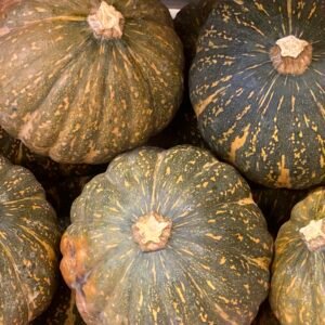 Potimarron vert Shiatsu