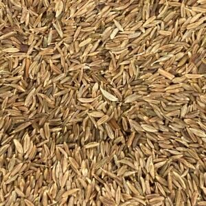 Cumin en graines