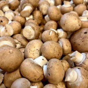 Champignons de Paris bruns