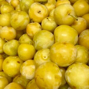 Prunes Golden Japan