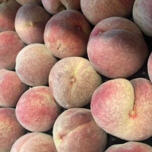 Pêches sanguines