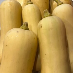 Butternut