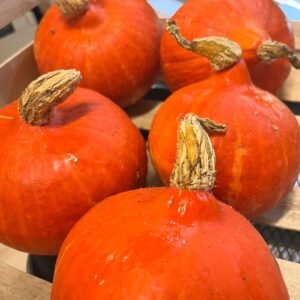 Potimarron
